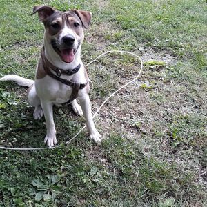 Meet your Posher, Doug